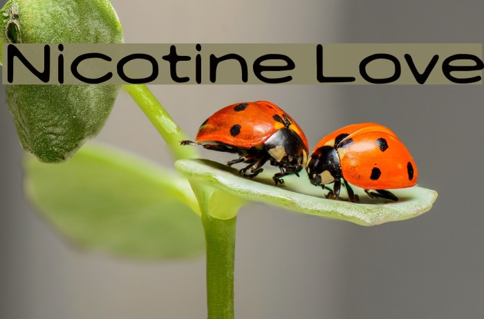 Nicotine Love Font examples