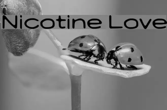 Nicotine Love Example 3