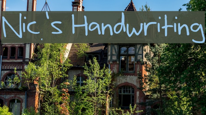 Nic's Handwriting Example 3