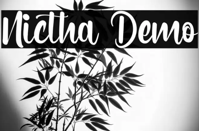 Nictha Demo Example 1