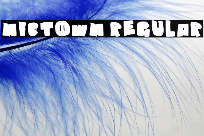 Nictown Regular Example 2