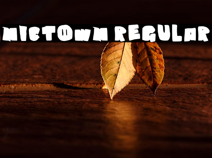 Nictown Regular Example 3