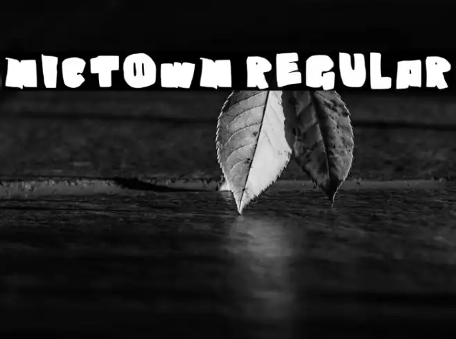 Nictown Regular Example 3