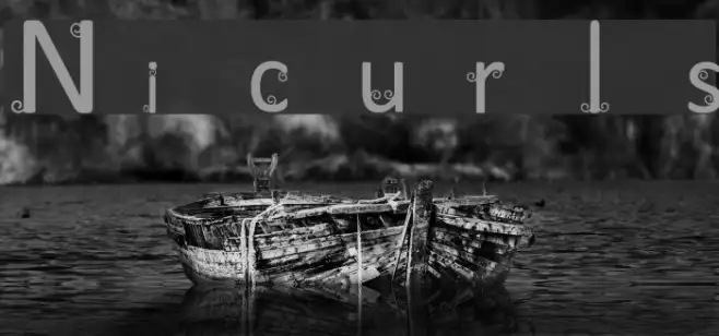 Nicurls Example 1