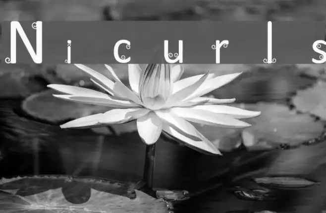 Nicurls Example 3