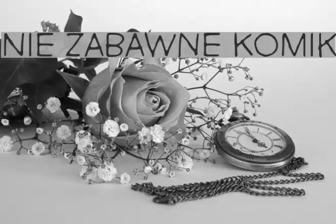 Nie Zabawne Komik Font examples