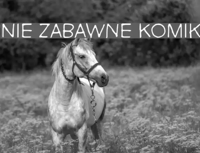 Nie Zabawne Komik Font examples