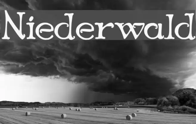 Niederwald Font examples