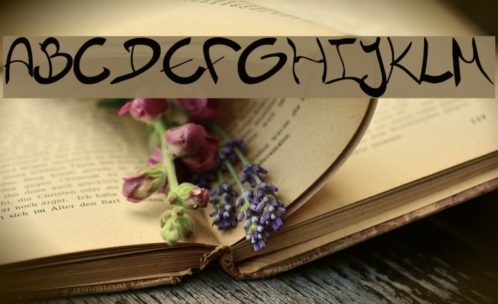 Nieknique Font examples