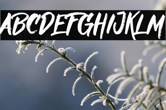 Nielsen DEMO Example 1