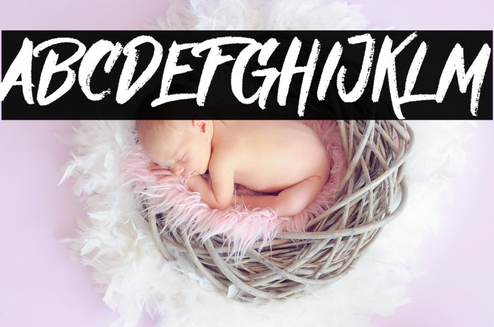 Nielsen DEMO Example 2