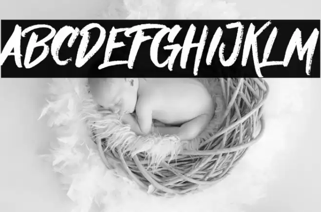 Nielsen DEMO Font examples