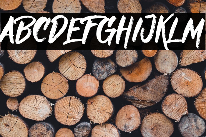 Nielsen DEMO Example 1