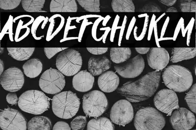 Nielsen DEMO Font examples