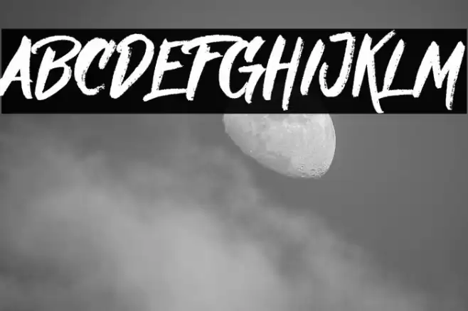 Nielsen DEMO Font examples