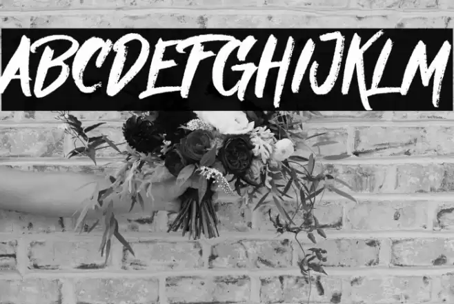 Nielsen DEMO Font examples