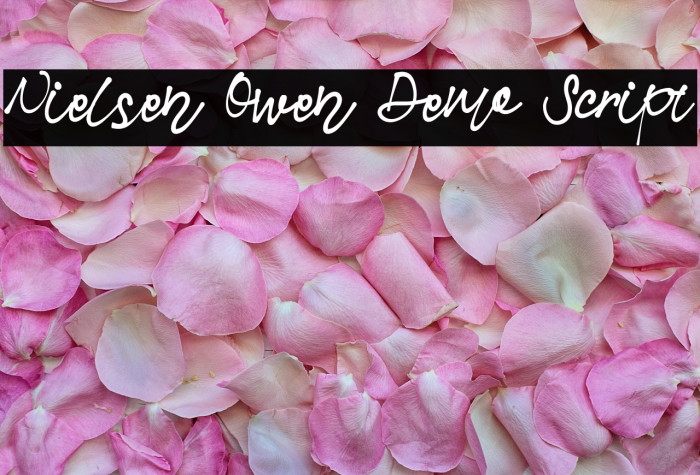 Nielsen Owen Demo Script Example 1