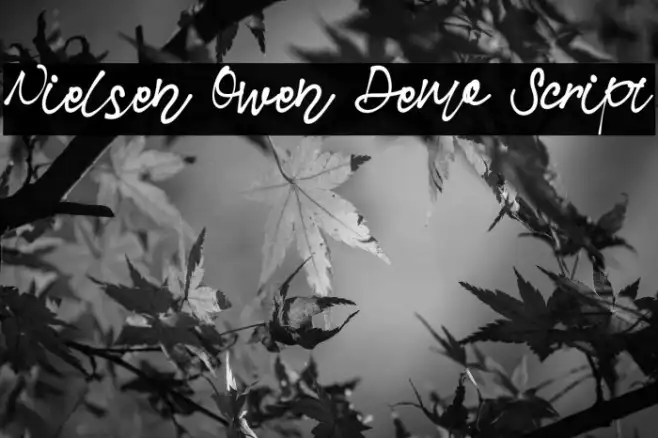 Nielsen Owen Demo Script Example 2