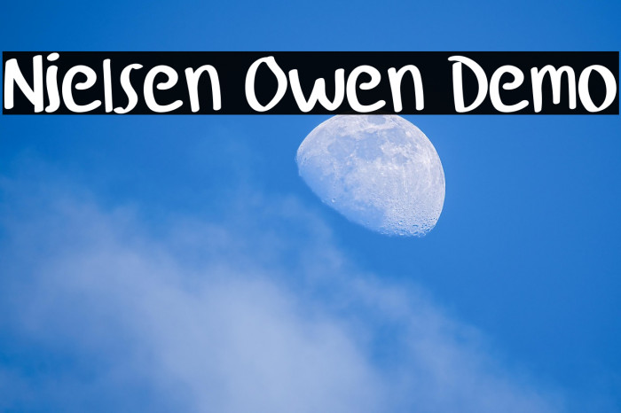 Nielsen Owen Demo Example 1