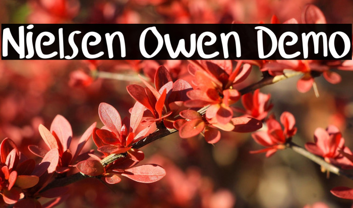 Nielsen Owen Demo Example 2