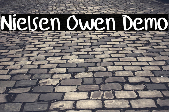 Nielsen Owen Demo Example 3