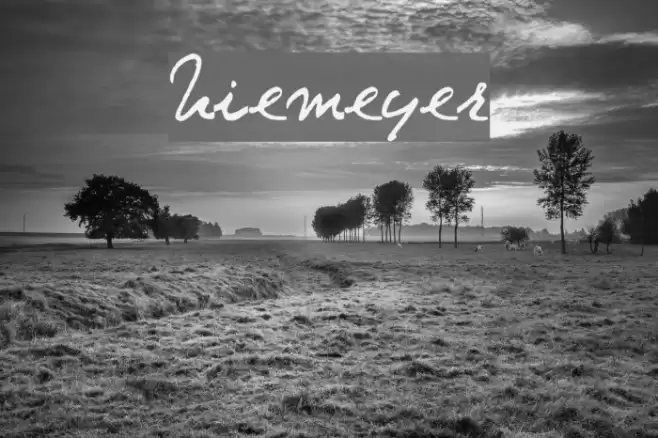 Niemeyer Font examples