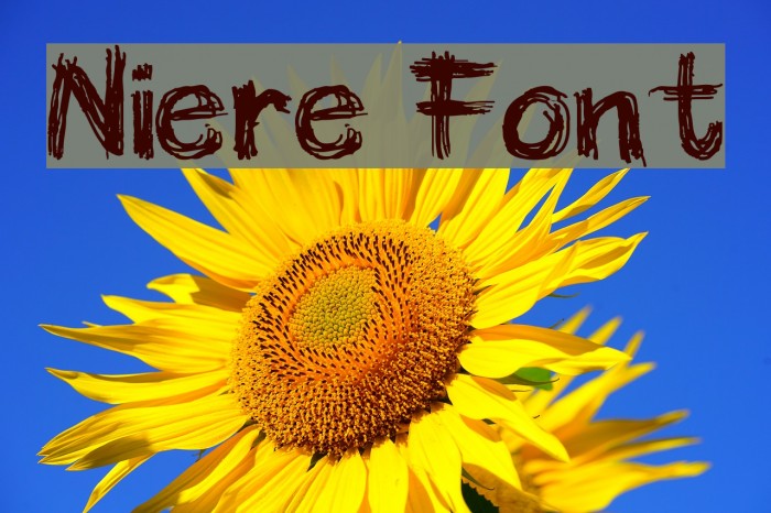 Niere Font examples
