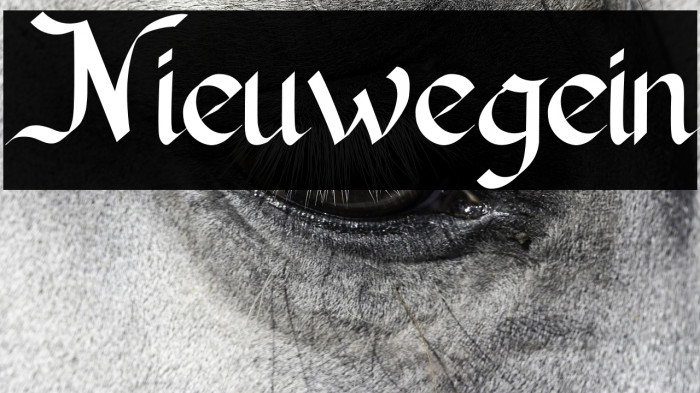 Nieuwegein Example 1