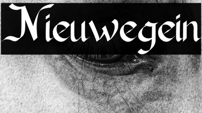 Nieuwegein Example 1