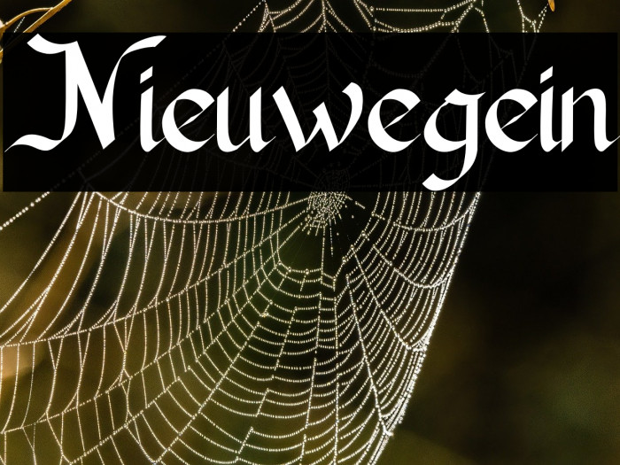 Nieuwegein Example 2