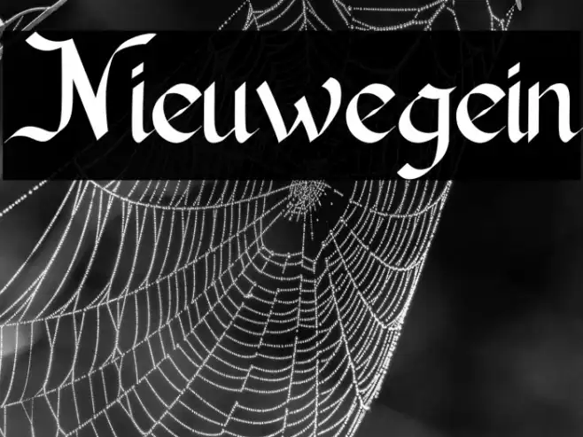 Nieuwegein Example 2