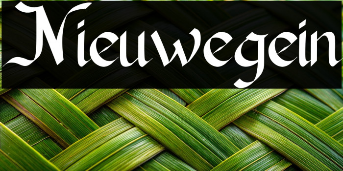 Nieuwegein Example 3