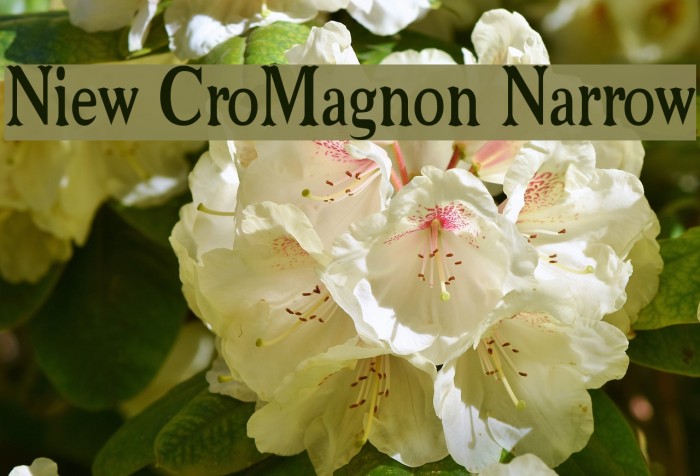 Niew CroMagnon Narrow Font examples