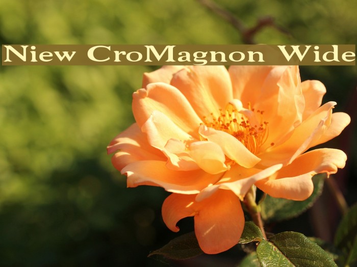 Niew CroMagnon Wide Font examples
