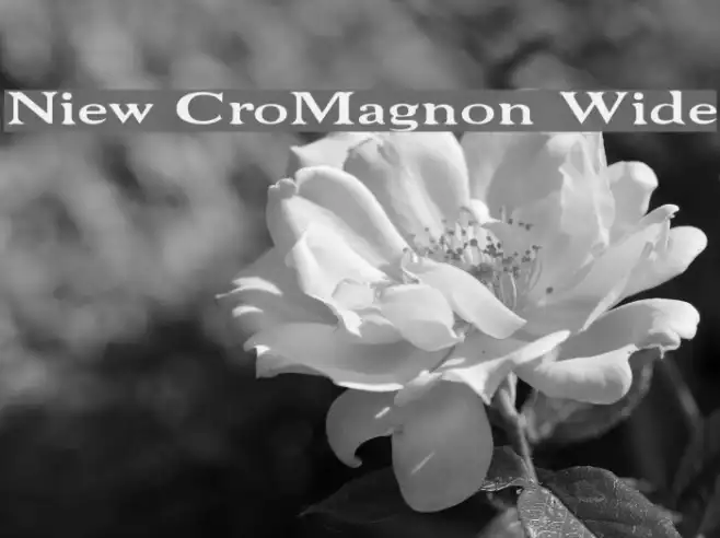 Niew CroMagnon Wide Example 1