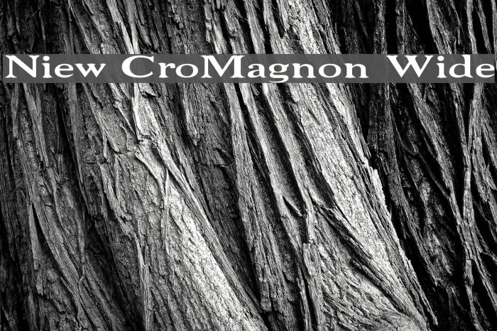 Niew CroMagnon Wide Font examples