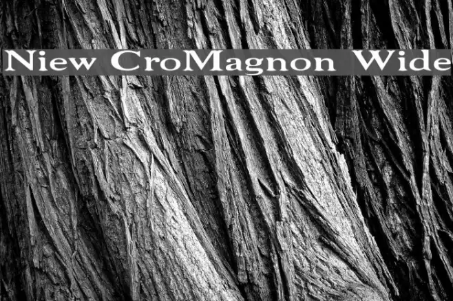 Niew CroMagnon Wide Example 2