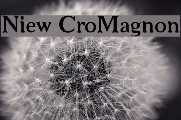 Niew CroMagnon Font examples