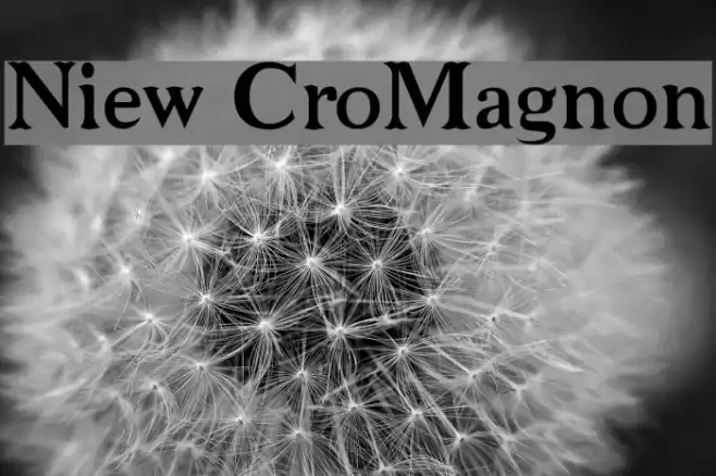 Niew CroMagnon Caratteri examples