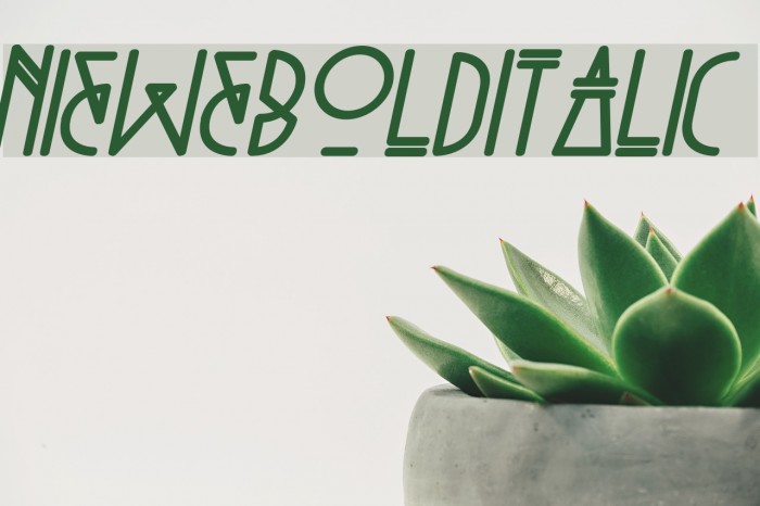 Niewe-BoldItalic Font examples