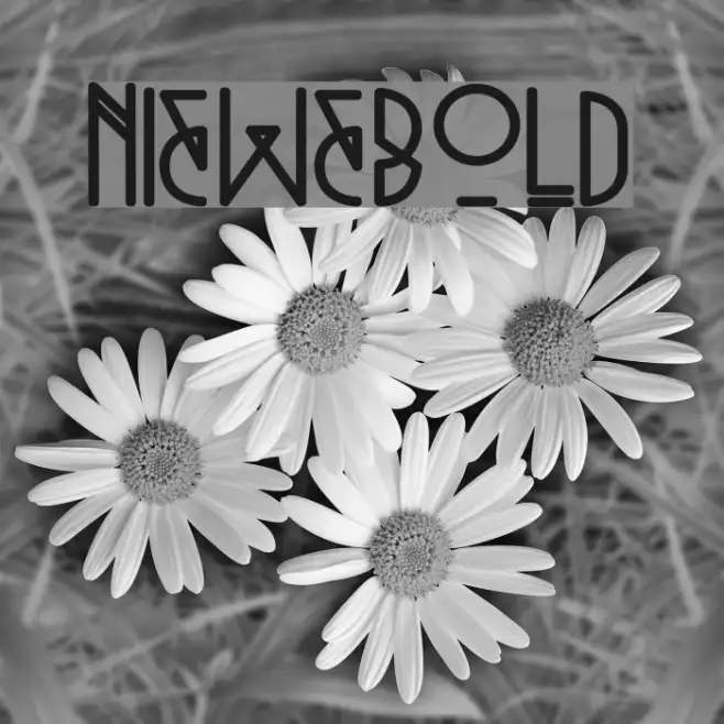 Niewe-Bold Example 1