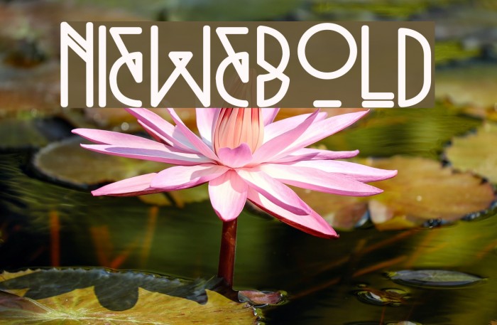 Niewe-Bold Font examples