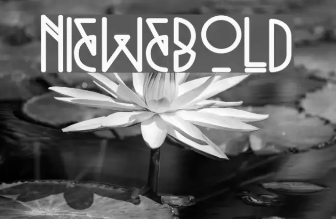 Niewe-Bold Example 2