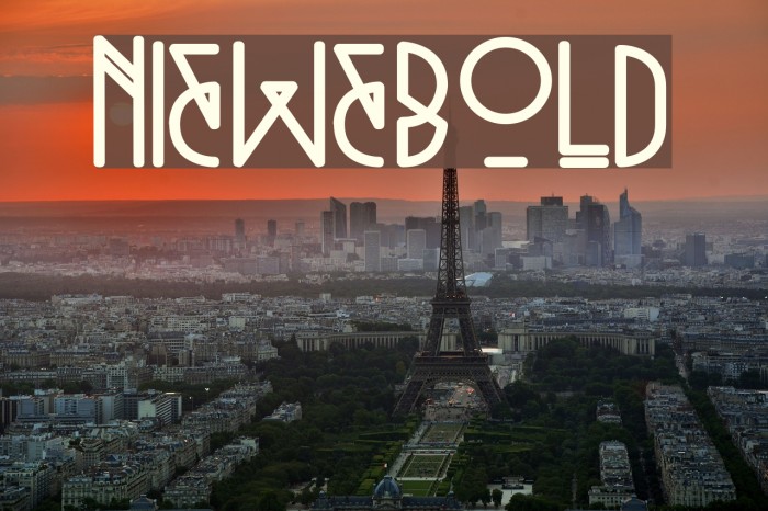 Niewe-Bold Font examples