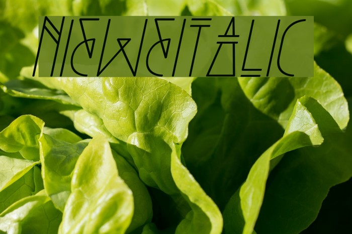 Niewe-Italic Font examples
