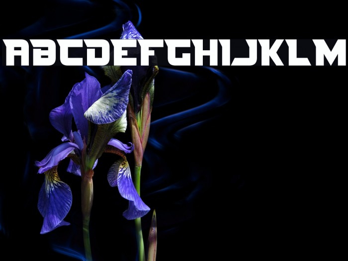 Nife Fite Font examples
