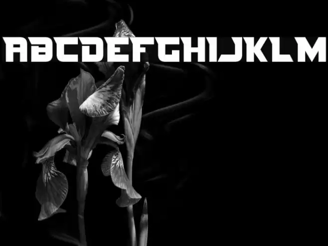 Nife Fite Fuentes examples