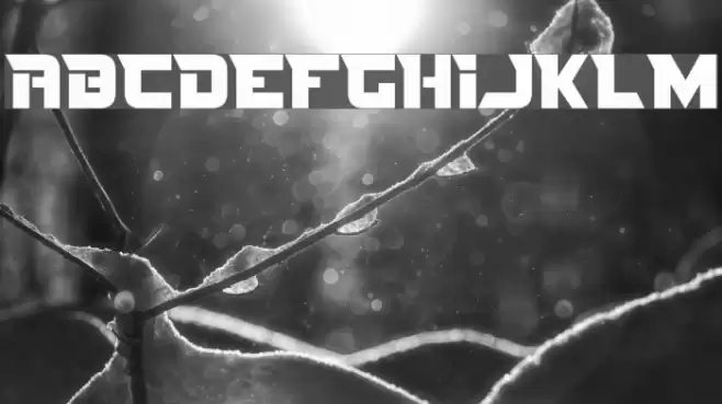 Nife Fites Font examples