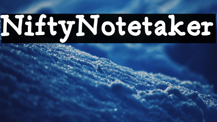 NiftyNotetaker Example 3