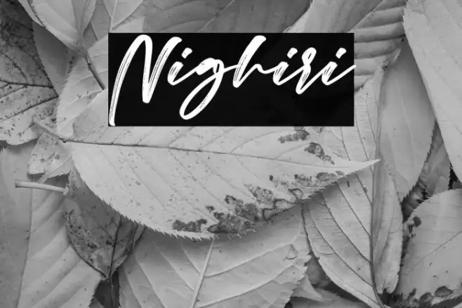 Nighiri Example 2